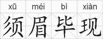 须眉毕现的拼音