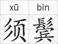 须鬓的拼音