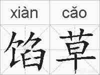 馅草的拼音