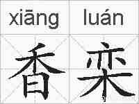 香栾的拼音