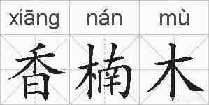 香楠木的拼音