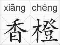 香橙的拼音