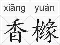 香橼的拼音