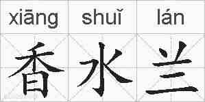 香水兰的拼音