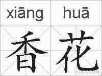 香花的拼音