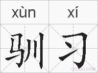 驯习的拼音