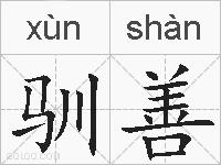 驯善的拼音