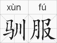 驯服的拼音