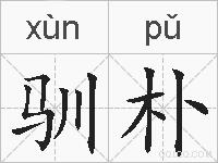 驯朴的拼音