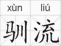 驯流的拼音