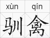 驯禽的拼音
