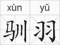 驯羽的拼音