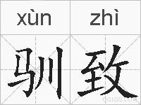 驯致的拼音