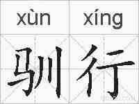 驯行的拼音