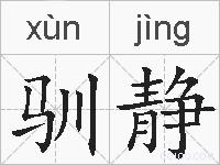 驯静的拼音