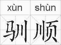 驯顺的拼音