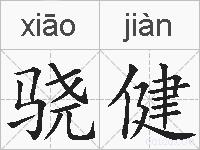 骁健的拼音