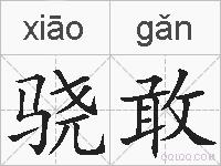 骁敢的拼音