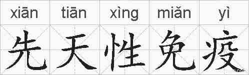 先天性免疫的拼音