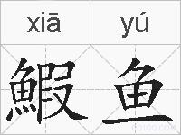 鰕鱼的拼音
