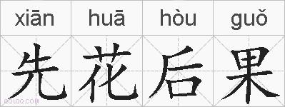 先花后果的拼音