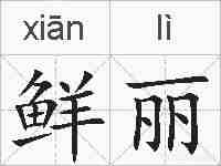 鲜丽的拼音