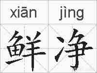 鲜净的拼音