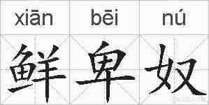 鲜卑奴的拼音