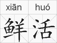 鲜活的拼音