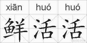 鲜活活的拼音