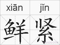 鲜紧的拼音