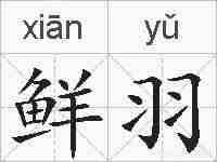 鲜羽的拼音