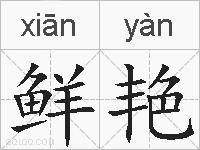 鲜艳的拼音