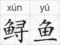 鲟鱼的拼音