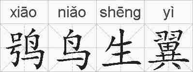 鸮鸟生翼的拼音