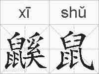 鼷鼠的拼音