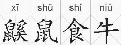 鼷鼠食牛的拼音