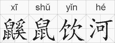 鼷鼠饮河的拼音