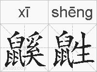鼷鼪的拼音