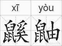 鼷鼬的拼音