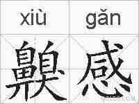 齅感的拼音