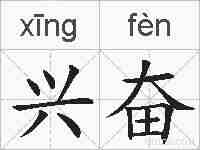 兴奋的拼音