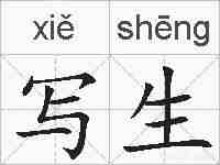 写生的拼音