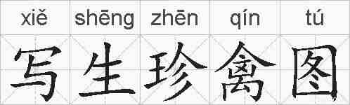 写生珍禽图的拼音