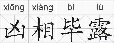 凶相毕露的拼音