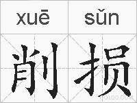 削损的拼音