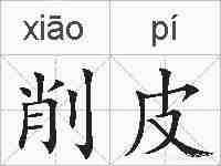 削皮的拼音