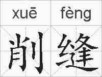 削缝的拼音