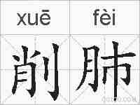 削肺的拼音