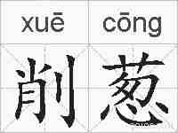 削葱的拼音